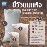 ราคา ขี้วัวนม ขี้วัวนมแท้ เกรด A ฟาร์มราชบุรี 100% เบดดิ้งเลี้ยงไส้เดือน ปุ๋ยคอกชั้นเยี่ยม ปลอดภัยไม่มีสารเคมี ไม่มีโซดาไฟ ปุ (25592029766)