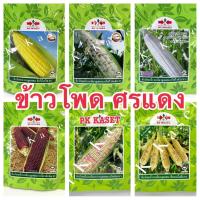 ราคา เมล็ดข้าวโพด ศรแดง 200 g ข้าวโพดหวาน ข้าวโพดข้าวเหนียว (2300845450)