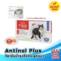 ราคา [หมดอายุ 1/2028] Antinol cat แอนทินอลแมว 60 เม็ด (1904760690)