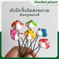 ราคา ตุ๊กตาจิ๋ว ตกแต่งสวนถาด สวนขวด ตัวละ 10฿ หลายตัว ราคาถูกลงนะคะ ตุ๊กตาแต่งสวนจิ๋ว จัดสวนถาด โมเดลบ้านจิ๋ว [DolD-XS-010] (5965165445)