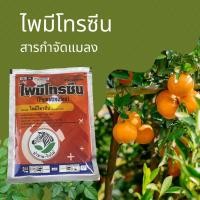 ราคา ไพมีโทรซีน 100กรัม (ไพมีโทรซีน) ตรา ม้าลาย กำจัดเพลี้ย เพลี้ยกระโดด เพลี้ยจั๊กจั่น (20372049832)