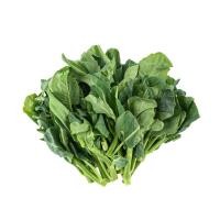 ราคา ส่งพรุ่งนี้ ยอดคะน้าฮ่องกง 500 กรัม/แพ็ค ออกใบกำกับภาษีได้ (28489460097)