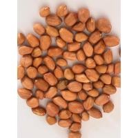 ราคา ถั่วลิสงแบบดิบ ขนาด 5 กก (42360984610)