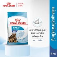 ราคา Royal Canin Maxi Starter Mother&Baby Dog4kg อาหารเม็ดแม่สุนัขและลูกสุนัขหย่านม พันธุ์ใหญ่ อายุ 1-2 เดือน (1420780741)