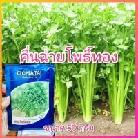 ราคา คื่นฉ่ายโพธิ์ทอง 50 กรัม ตรา เจียไต๋ ต้นขาว ใบใหญ่ ทนร้อน ทนแล้ง ทนโรค ขึ้นฉ่าย ขึ้นช่าย คื่นฉ่าย โพธิ์ทอง (21354261679)