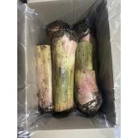 ราคา หน่อกล้วยน้ำว้า 5 หน่อ ส่งฟรี (7689203885)