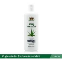 ราคา แชมพูว่านหางจระเข้ อภัยภูเบศร (40713182241)
