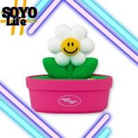 ราคา Wiggle Wiggle ถาดสบู่ Smile We Love (55054013947)