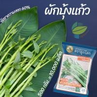 ราคา เมล็ดผักบุ้งแก้ว ผักบุ้งแก้ว 10,000 เมล็ด (500g) ต้นอ่อนผักบุ้ง (8366682103)