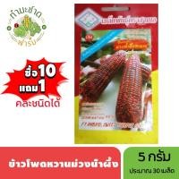 ราคา 3A (ซื้อ10แถม1) เมล็ดพันธุ์ ข้าวโพดหวานม่วงน้ำผึ้ง ขนาด5กรัม ประมาณ30เมล็ด SWEET PURPLE CORN ข้าวโพดหวานสีม่วง (11602955603)