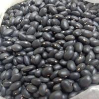 ราคา ถั่วดำ ขนาด 500 กรัม (17648273979)