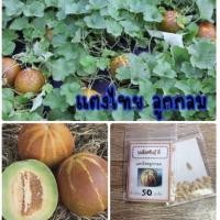 ราคา เมล็ดพันธุ์ ผัก แตงไทยลูกกลม แตงไทย (10แถม1คละอย่างได้) (3584098356)