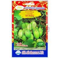 ราคา เมล็ดพันธุ์ บวบเหลี่ยม มะนอย ภูเขาทอง (42258544477)