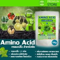ราคา อะมิโน แอซิด กรดอะมิโนสำหรับพืช บำรุงโครงสร้างใบ ดอก ผล ละลายน้ำได้100% ขนาด 1 กิโลกรัม /AMINO ACID For Plant 1 Kg. (14948317792)