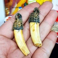 ราคา เขี้ยวหมูตันถักเชือก เข้าพิธีพุทธาภิเษกสายเขาอ้อ สุดยอดแห่งเครื่องรางทนสิทธิ์มีอานุภาพในตัว แคล้วคลาดปลอดภัยกำบังตัว (2953683899)