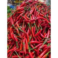 ราคา พริกชี้ฟ้า แดง/เขียว (23254540700)