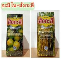 ราคา พราวด์สังกะสี (อะมิโน + สังกะสี ) (5169425567)