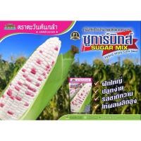 ราคา เมล็ดพันธุ์ข้าวโพด ชูก้ามิกส์ หวาน ข้าวโพดข้าวเหนียว ขาวม่วง (3487951250)