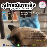 ราคา Cat Accessories แท่นเกาหลังแมว แปรงหวีขนแมว ของเล่นแมว แปรงติดประตู ขนาด 21x29 ซม. มีให้เลือก 3 สี แถมฟรีแคทนิปแมว (15446829657)