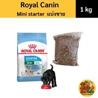ราคา (แบ่งขาย 1 kg) Royal canin Mini starter อาหารแม่สุนัขและลูกสุนัขพันธุ์เล็ก แพคถุงใส่ 1กก (57906305310)