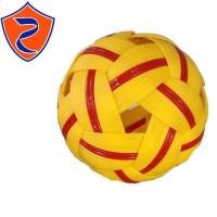 ราคา ลูกตะกร้อ ตะกร้อ เซปัก ตะกร้อ แข่งขัน Premier รุ่น PM-811 (1164880747)