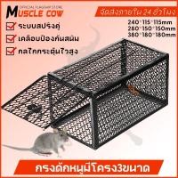ราคา MUSCLE COW กรงดักหนูสปริง2ตัวโครงหนา กรงดักหนู กรงดักหนูแบบมีโครง กรงดักหนูสปริงคู่ กรงดักหนูนา กรงดักหนูเล็ก (29685571425)
