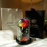 ราคา กุหลาบอมตะ กุหลาบในโหลแก้ว ขนาดL สีRainbow (6361835417)