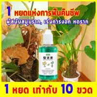 ราคา สูตรเข้มข้น เร่งโต 5 น้ำยาเร่งราก ปุ๋ยน้ำ เร่งราก เร่งใบ น้ำยาเร่งราก สารเร่งราก สูตรรวมเร่งราก แก้ใบเห ฟื้นฟูต้นไม้ (28658714941)