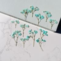 ราคา ดอกไม้แห้ง ดอกยิปโซสีฟ้า - สำหรับงาน DIY งานเรซิ่นและตกแต่งอื่นๆ (25825011129)