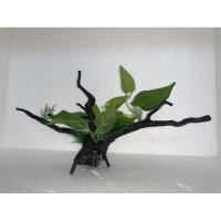 ราคา ของแต่งตู้ ต้นไม้พลาสติกติดขอนไม้พลาสติก รหัส 19005 (4750243404)