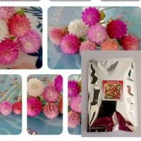 ราคา เมล็ดดอกบานไม่รู้โรยคละสี500เมล็ดเตรียมดินรดน้ำให้ชุ่มโรยเมล็ดแล้วดลบดินบางๆ รดน้ำเช้าเย็นอย่าให้หน้าดินแห้ง (5690022336)
