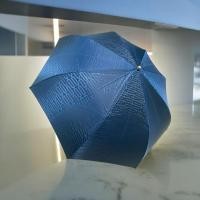 ราคา ร่มพับแบรนด์nina ricci แท้ มือ2 ตู้ญี่ปุ่น สีน้ำเงิน (29651998396)