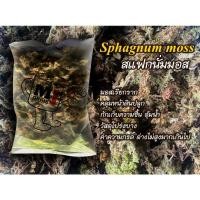 ราคา Sphagnum moss สแฟกนั่มมอส หรือมอสขาว (11547049272)