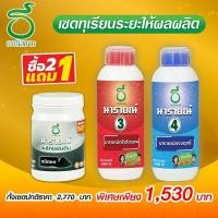 ราคา ธรณีสยาม เซตทุเรียนให้ผลผลิต ช่วงตาปูตาปลา เหยียดตีนหนู และลูกเท่าไข่ห่านแล้ว (27559724287)