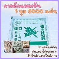 ราคา ยกลัง 2000 แผ่น ของแท้! กาวดักแมลงวัน ชนิดแผ่นกระดาษ รุ่นแผ่นเขียว กาวเหนียวไม่เยิ้ม กระดาษกาวดักแมลงวัน กาวดักแมลง (40360549455)
