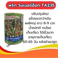 ราคา พริกวินเนอร์ฮอท TA235 น้ำหนักดี ทนโรค เก็บเกี่ยว ได้เร็วมาก สีแดงสด-พริกขี้หนูลูกผสม-เมล็ดพันธ์ (26353171938)