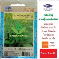 ราคา 5 ฟรี 1 คละได้ เมล็ดพันธุ์ กวางตุ้งดอกต้นเขียว เจียไต๋ เมล็ดผัก เมล็ดพันธุ์พืช เมล็ดพันธุ์ผัก (4113671810)