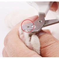 ราคา ✨ใหม่✨กรรไกรรุ่นใหม่ป้องกันการตัดเข้าลึกกรรไกรตัดเล็บน้องแมวน้องสุนัขพันธุ์​เล็กน้องกระต่ายน้องชินชิลล่า✨น้องกระรอก (17699397760)