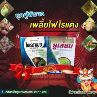 ราคา กำจัดเพลี้ย ป้องกันไรขาว ไรแดง ไรสนิม ไรกำมะหยี่ เพลี้ยไฟ เพลี้ยอ่อน เพลี้ยกระโดด ขนาด 100 กรัม คูลเกษตร Kl74 (44407110064)