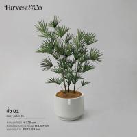 ราคา ต้นจั๋ง (01) | ต้นไม้ประดิษฐ์เสมือนจริง 120 cm (27631639505)
