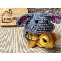 ราคา ชุดเต่าบก_070_กระต่ายเทาหูตก_บ้านชุดเต่าบก (40267775979)