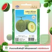 ราคา เมล่อน ปริ๊นเซส เจียไต๋ 30เมล็ด เมล็ดพันธุ์เมล่อน Melon (913442342)