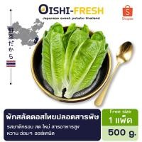 ราคา Oishi-Fresh ผักสลัดคอส ปลอดสารพิษ 1 กก. รสชาติกรอบ สด ใหม่ ใยอาหารสูง หวานออร์แกนิค เคลมได้ 1-2 วัน (26573147056)