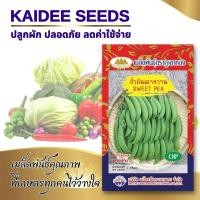 ราคา เมล็ดถั่วลันเตาหวาน ตราภูเขาทอง SWEET PEA เมล็ดถั่วลันเตา เมล็ดพันธุ์ถั่วลันเตาหวาน เมล็ดผักสวนครัว เมล็ดพันธุ์ผัก (4358887689)