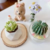 ราคา เทียนหอมกระบองเพชร น้องบอง ต้นกระบองเพชร ฟรีกล่องของขวัญ,การ์ด (22783055733)