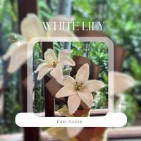 ราคา LILY ดอกไม้ไหมพรม ดอกไม้ปลอม ดอกลิลลี่ปลอม (24937918721)