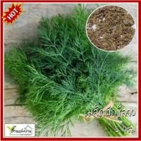 ราคา 5 กรัม ผักชีลาว เมล็ดผักชีลาว ผักชีเมือง ผักชีเทียน ผักชีตั๊กแตน ผักชี เทียนข้าวเปลือก (27577091502)