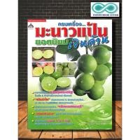 ราคา หนังสือเกษตร มะนาวแป้นเงินล้าน : การปลูกมะนาว พืชและการเกษตร มะนาว-นาคา พืชเศรษฐกิจ มะนาว (Infinitybook Center) (21181720730)