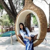 ราคา กระเช้ารังนก ชิงช้ารังนกบาหลีหวายเทียม (6635446002)