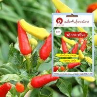 ราคา เมล็ดพันธุ์พริกกะเหรี่ยง (เผ็ด) (เมล็ดพันธุ์คุณภาพดี) (5040074992)